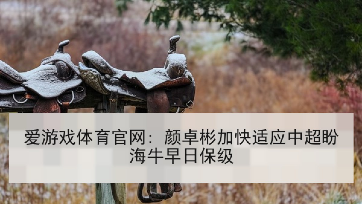 爱游戏体育官网: 颜卓彬加快适应中超盼海牛早日保级