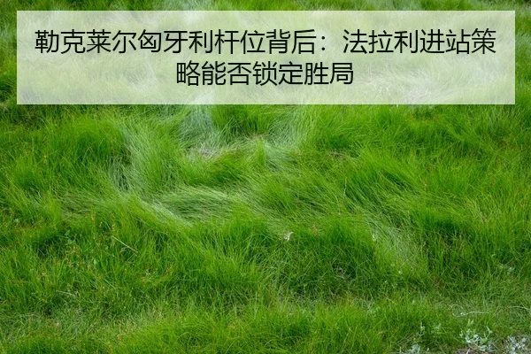 lei-ke-lai-er-xiong-ya-li-gan-wei-bei-hou-fa-la-li-jin-zhan-ce-lve-neng-fou-suo-ding-sheng-ju-2-201.jpg